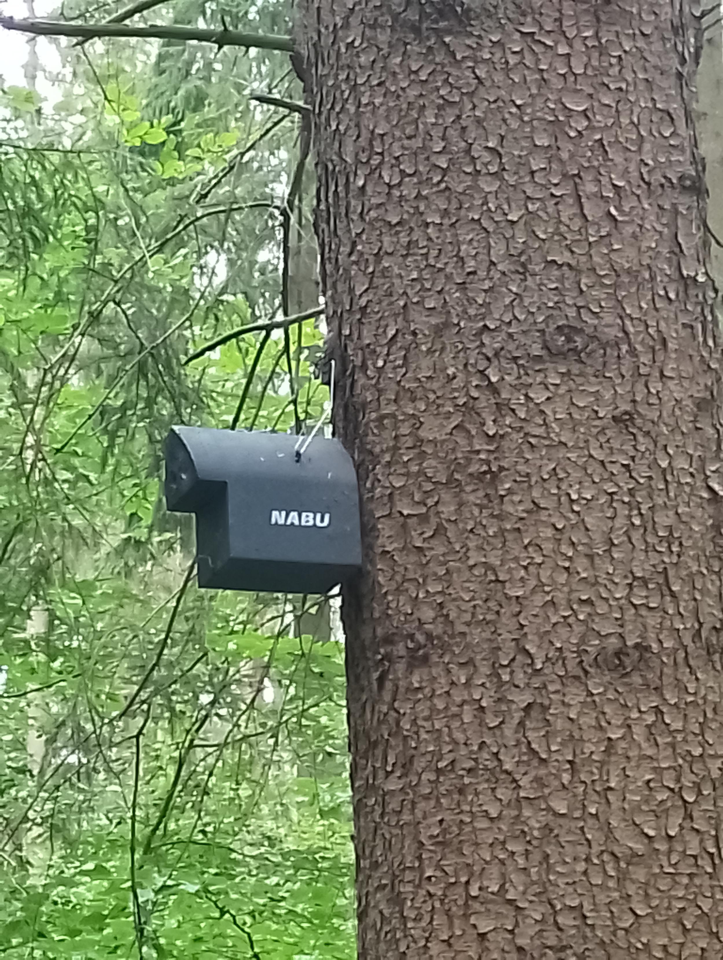 Ein Kasten an einem Baum mit der Aufschrift NABU