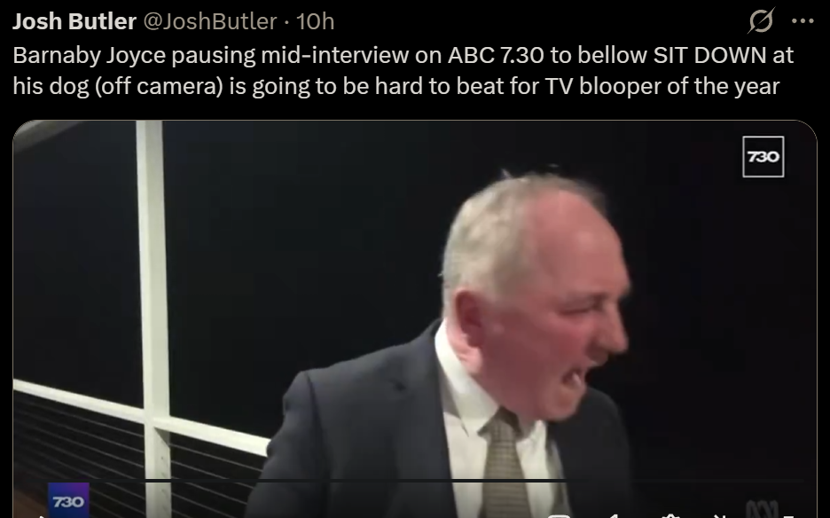 Josh Butler @JoshButler  
Barnaby Joyce pausing mid-interview on ABC 7.30 to bellow SIT DOWN at
his dog (off camera) is going to be hard to beat for TV blooper of the year