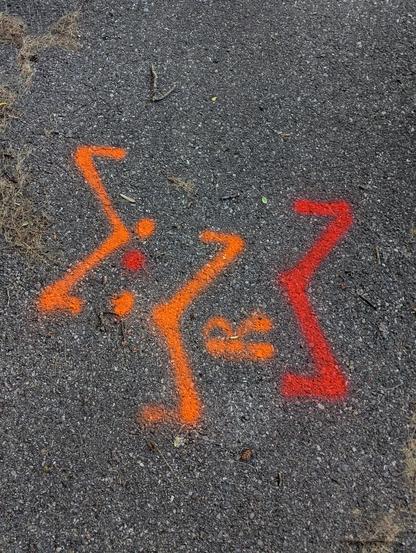 The image displays a close-up, overhead view of asphalt pavement marked with bright orange and red spray paint. The markings are abstract and appear to be symbols or directional indicators, possibly for utility work or surveying.

The scene is dominated by the dark, textured surface of the asphalt, which is speckled with various shades of gray, black, and small, lighter-colored aggregate particles. A few wisps of dried grass and small twigs are scattered across the surface, particularly in the …