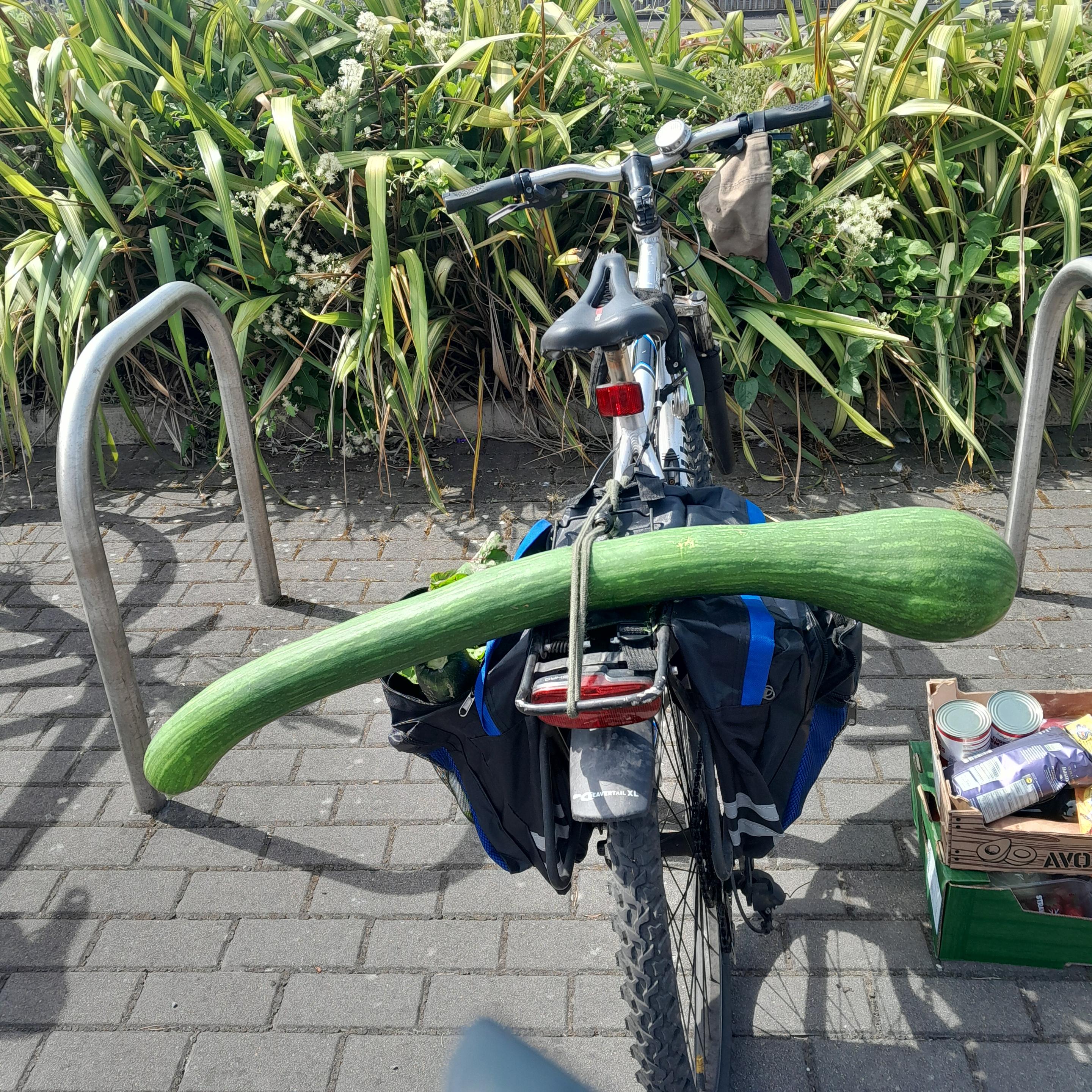 Giant Courgette; could do with warning lights at either end a sign writ large WIDE LOAD! ...
