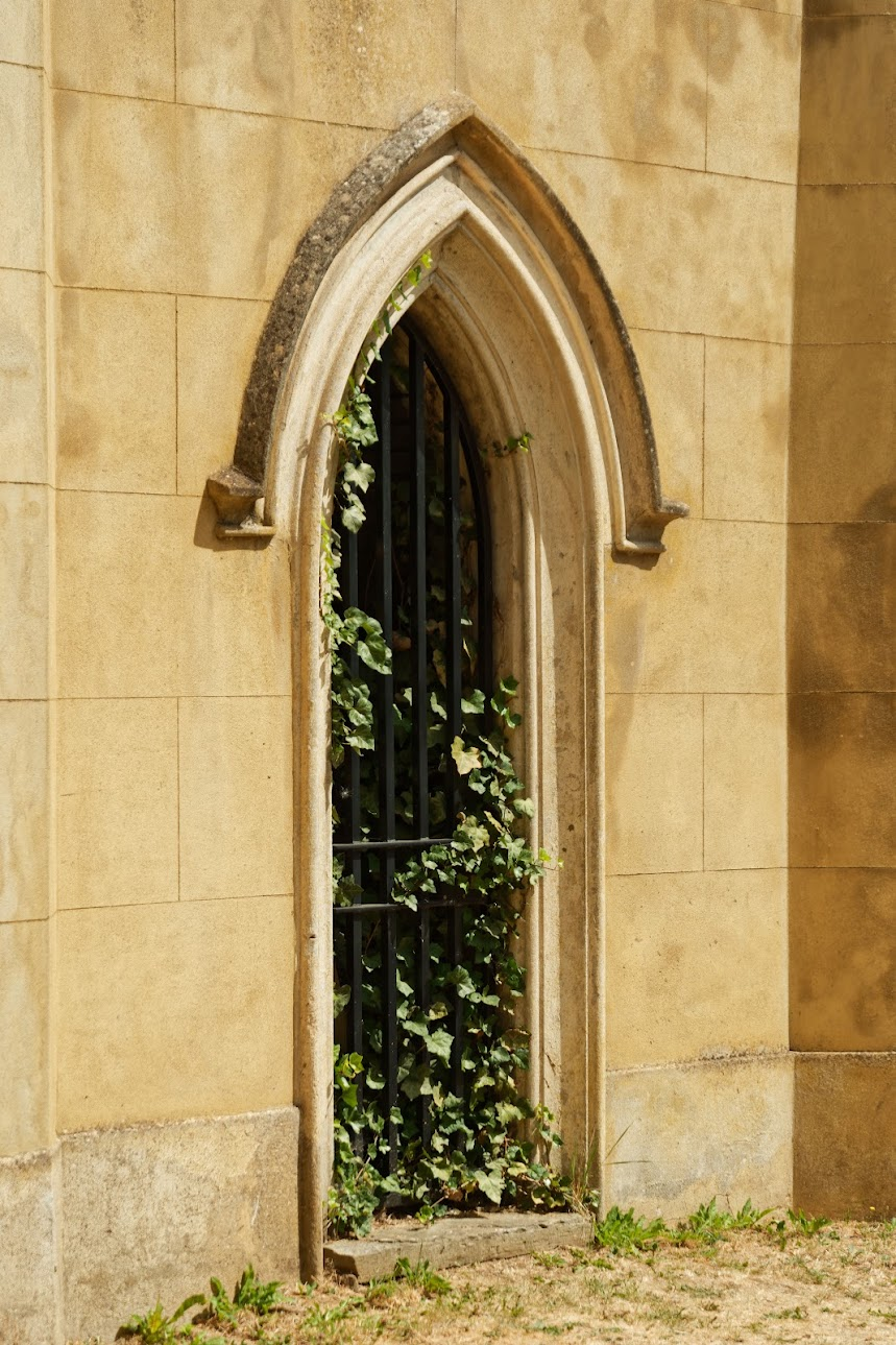 A tall, narrow Gothic arched window with dark vertical iron bars is set into a weathered, light tan stone wall, with lush green ivy vines climbing up its frame and through the bars.