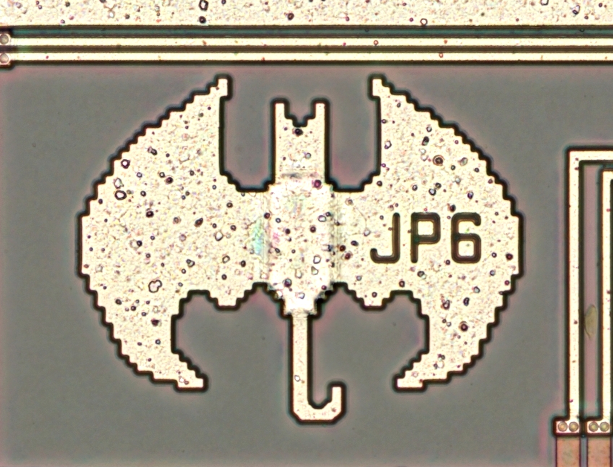 The bat has the text JP6 on its right wing.