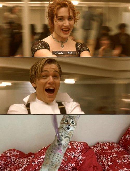 random Titanic dancing meme pic with a cat trying to hold onto a string