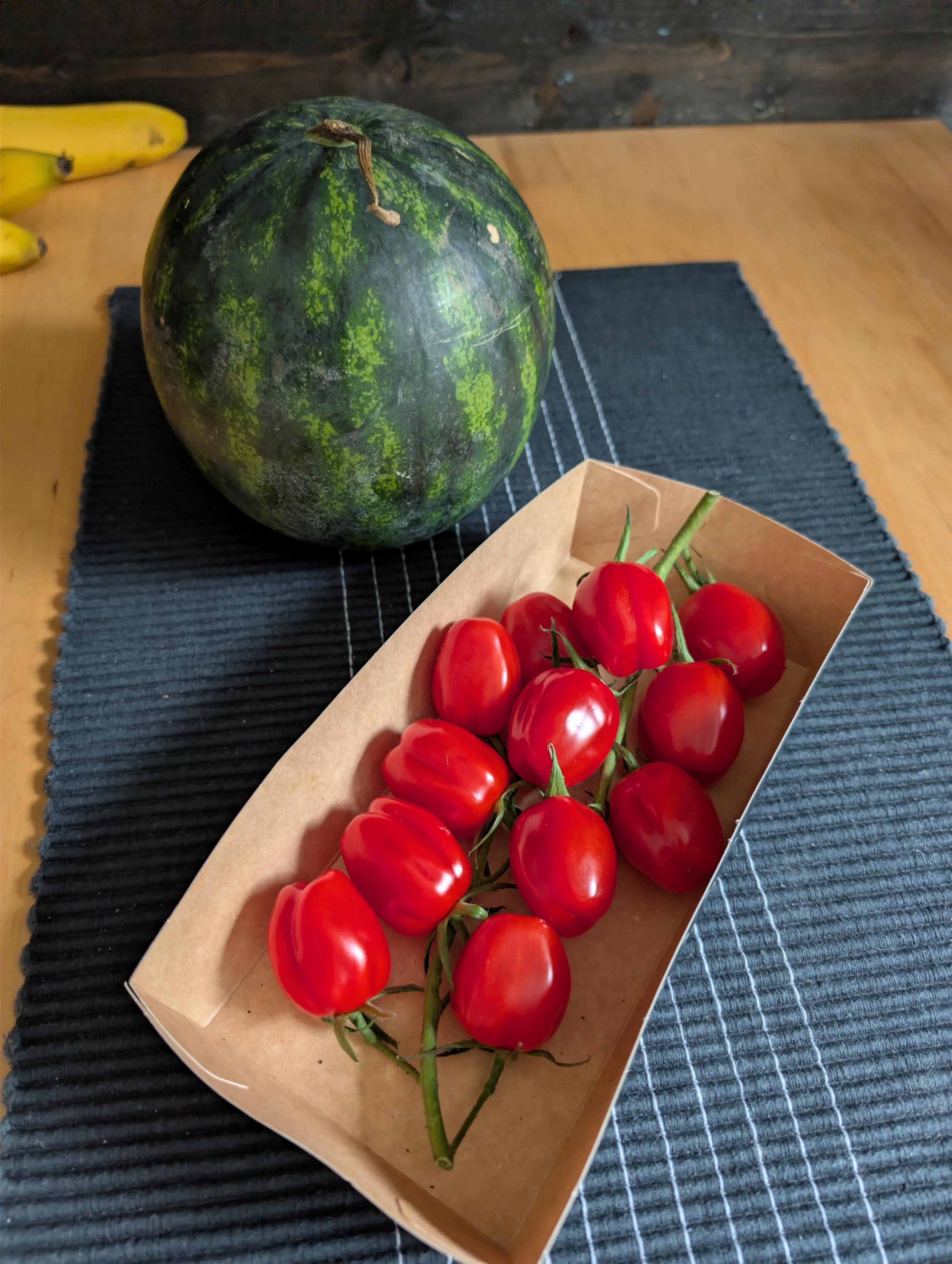 A watermelon and some tomateos on a wooden table with a black tablecloth