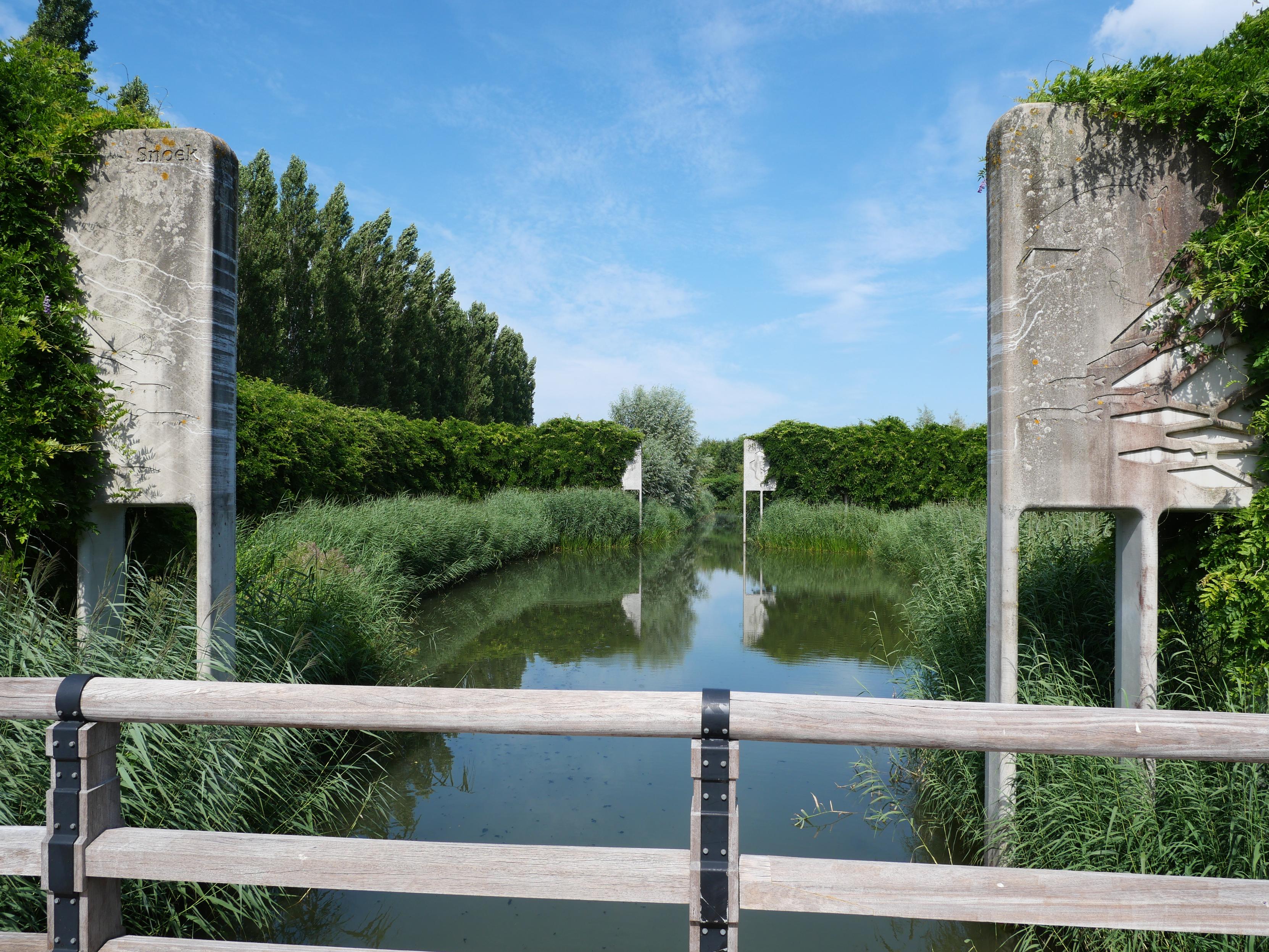View from a wooden bridge, across a pond with reeds at the waters edge.