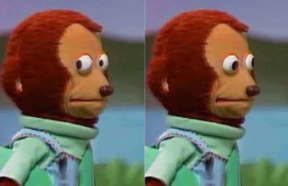 Side eye monkey meme
(Two panels. A monkey puppet looks to the right side, then back to the front.)