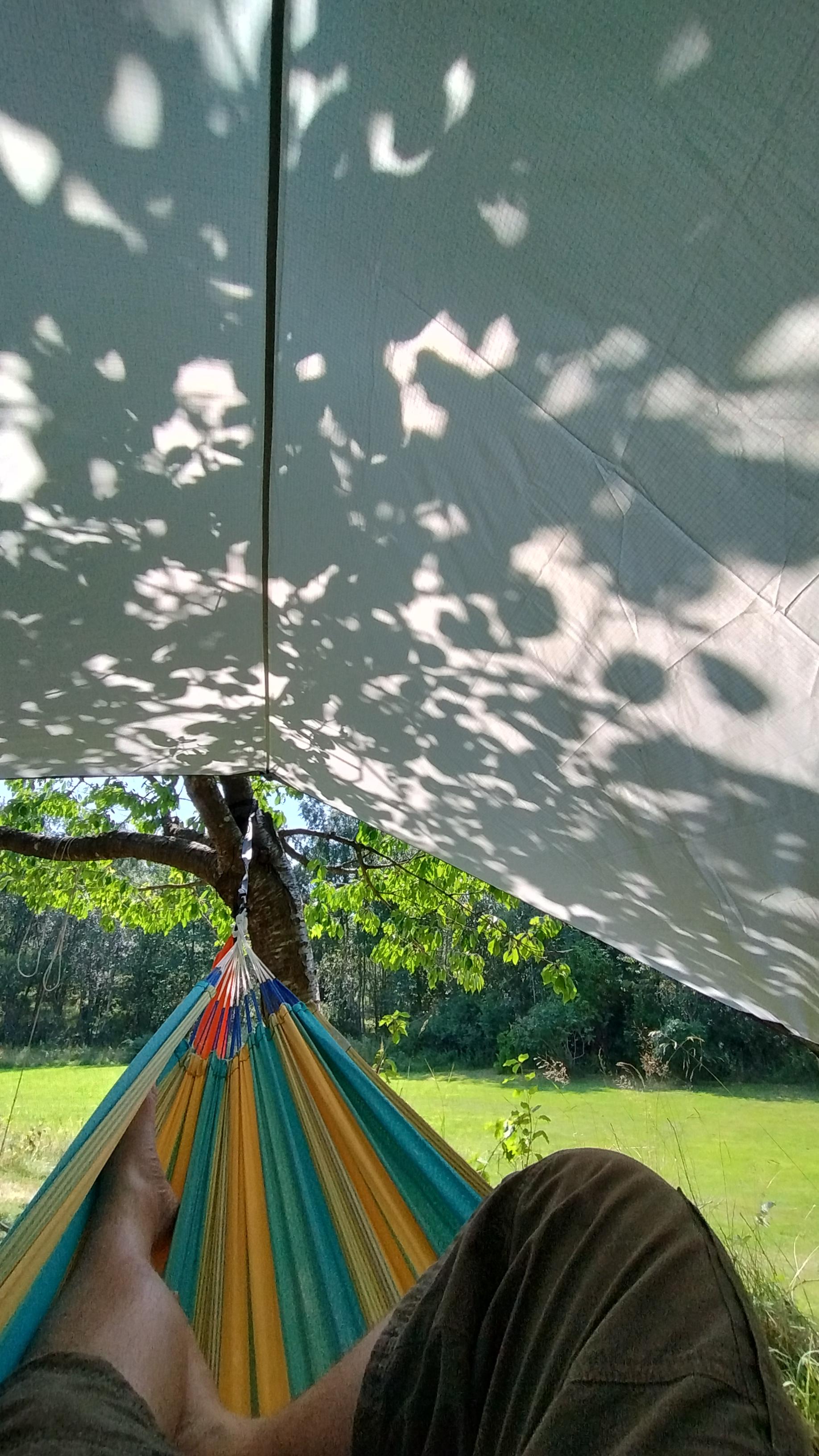View from a hammock under a tarp