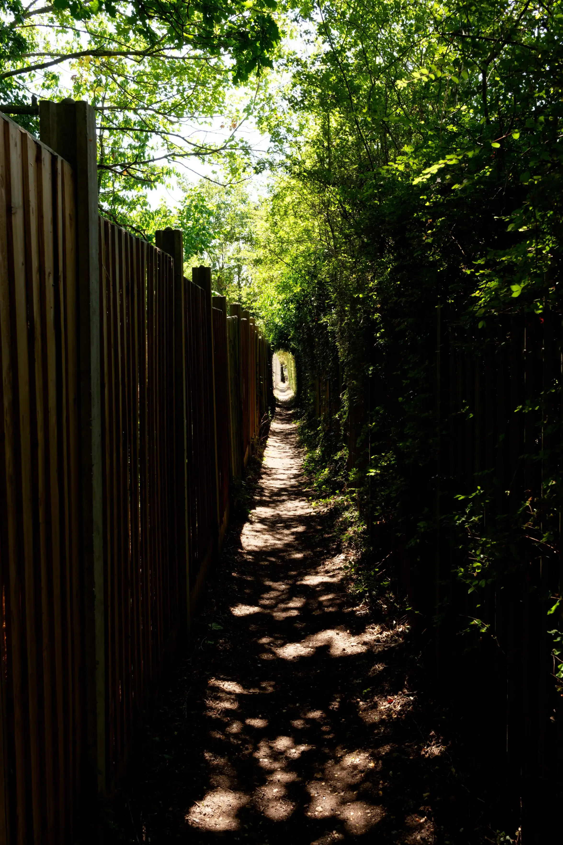 A narrow, dirt footpath cuts through a dimly lit passage, leading toward a bright, arched opening in the distance. A tall wooden fence lines the left side of the path, casting long shadows across the ground. Dense green bushes and overhanging tree branches frame the right side and upper canopy, filtering patches of sunlight onto the trail below.