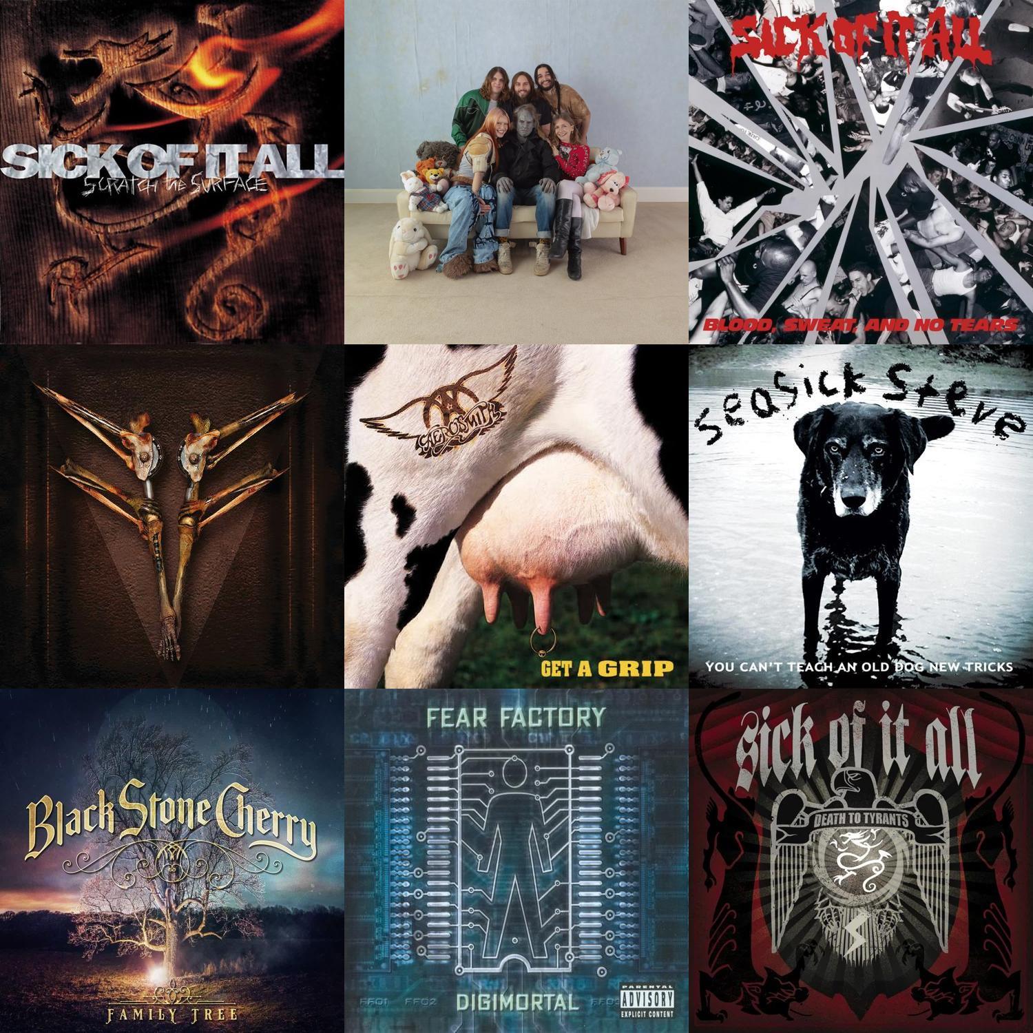 A square grid of photos of bands read from left to right, top to bottom, Sick of It All - Scratch the Surface, Wet Leg - moisturizer, Sick of It All - Blood, Sweat, and No Tears, Fear Factory - Archetype, Aerosmith - Get a Grip, Seasick Steve - You Can't Teach An Old Dog New Tricks, Black Stone Cherry - Family Tree, Fear Factory - Digimortal, Sick of It All - Death To Tyrants