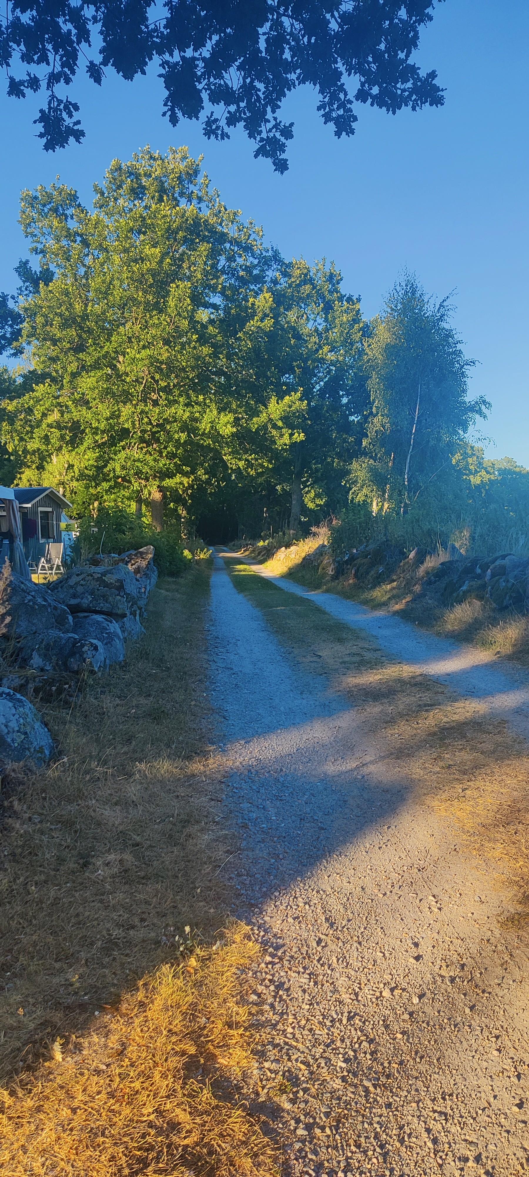 Summer evening, gravel road in sunlight from a low positioned sun, shadows are long😉