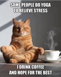 Cat in meditation position, cup of coffee at its side, 
Top text:
Some people do yoga
to relieve stress
Bottom text:
I drink coffee
and hope for the best