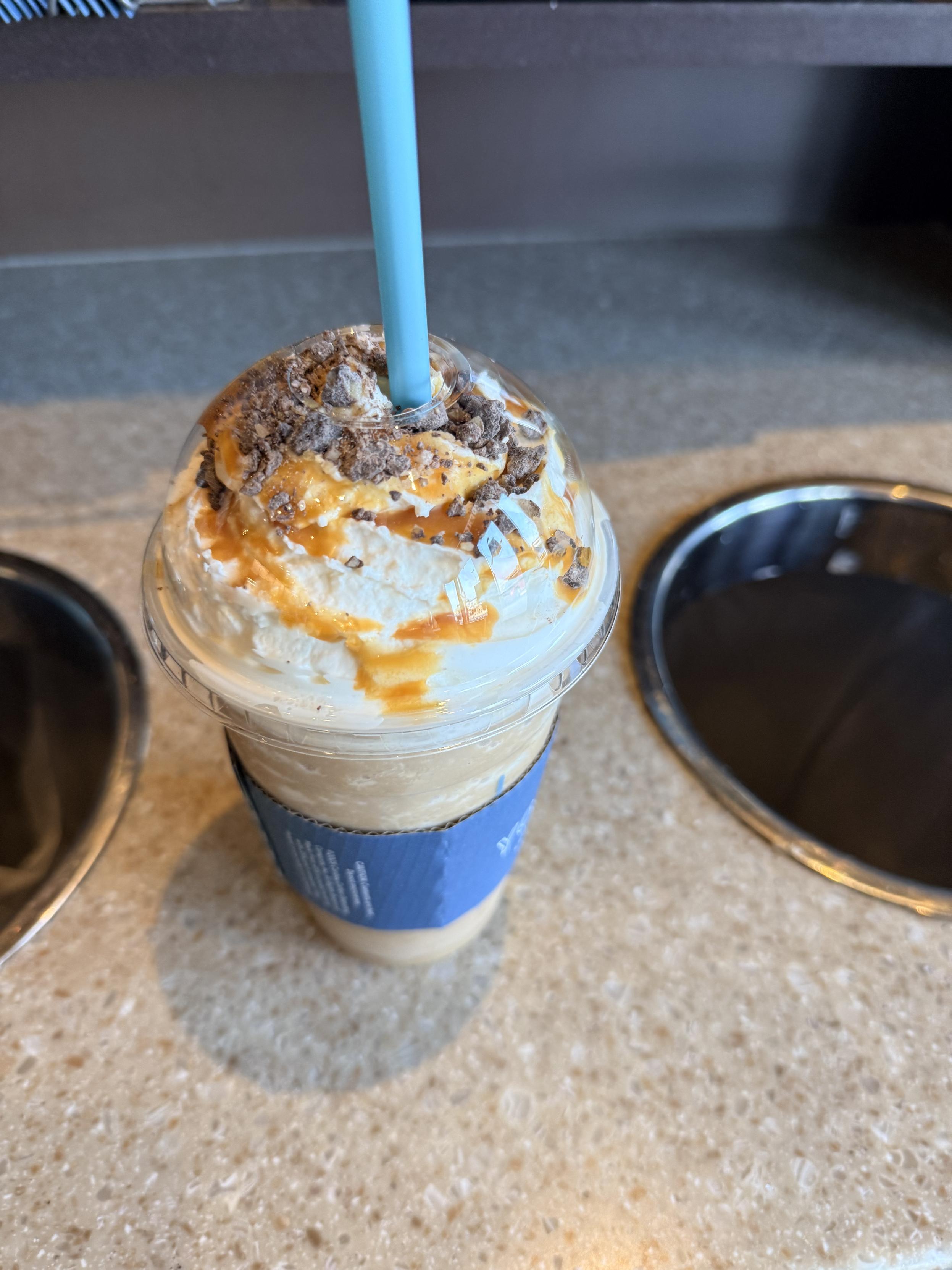 Caribou cooler