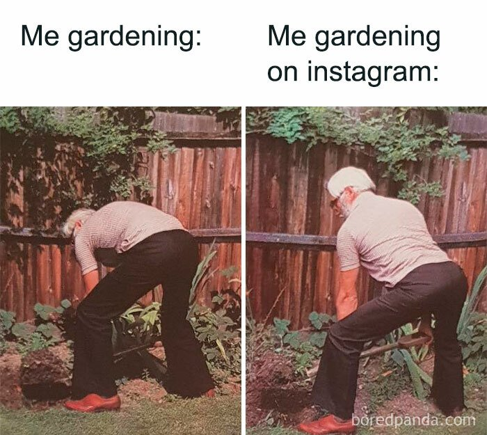 Me gardening: Me gardening
on instagram joke meme