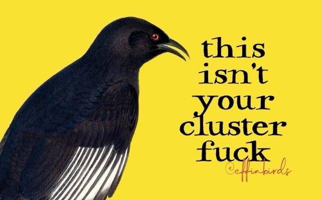 A painting of a bird beside the text "this isn't your clusterfuck" 
 
artist: Effin’ Birds 
 
source: https://mastodon.social/@effinbirds/116980520418385758
