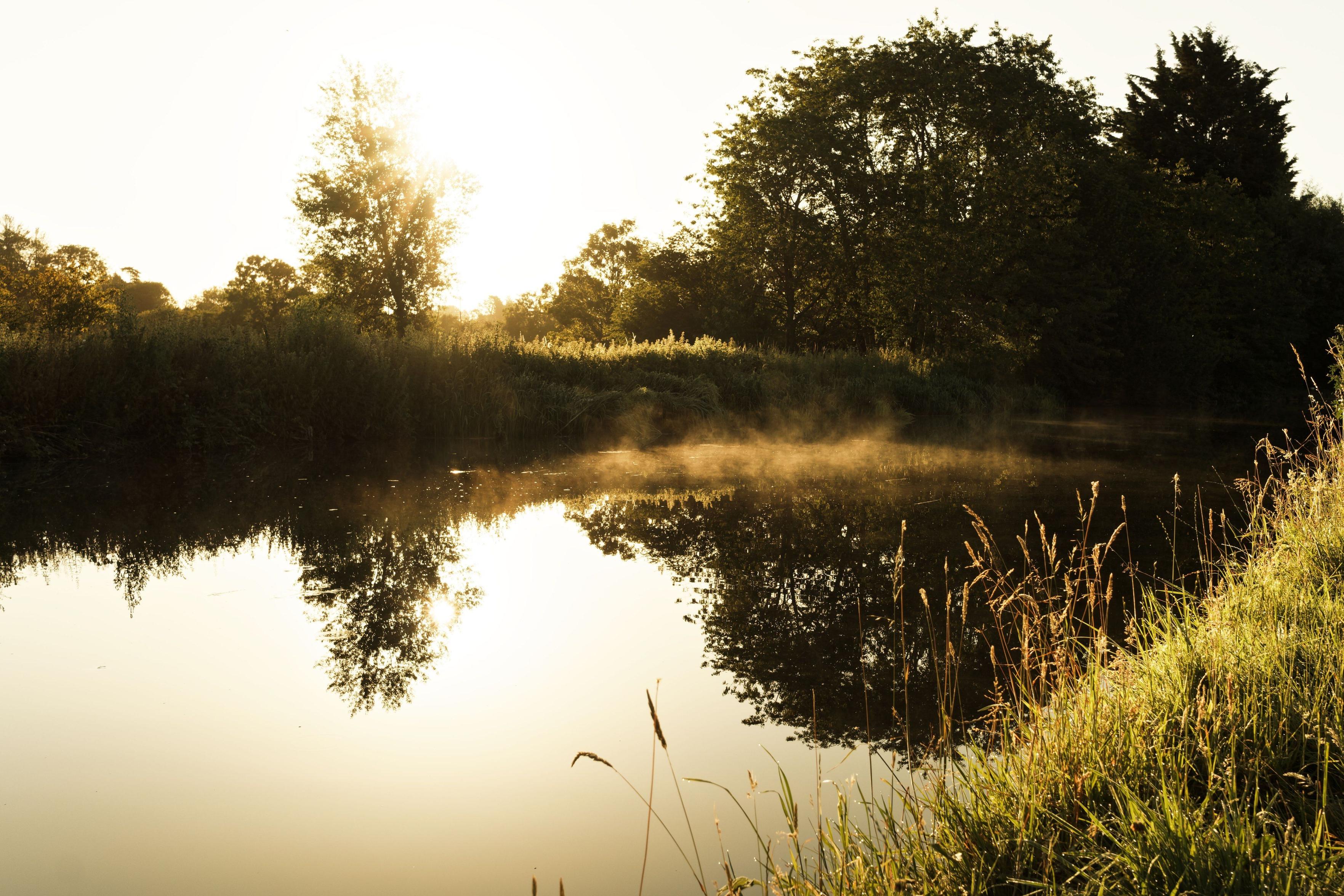 A  calm river at sunrise, with a light layer of mist rising from the water's surface.The sun shines brightly from the left, filtering through a tall tree and casting a golden glow across the landscape. Lush green trees and vegetation line the far bank, their shapes clearly reflected in the still, glassy water. In the foreground, tall blades of grass along the riverbank are illuminated by the morning light.