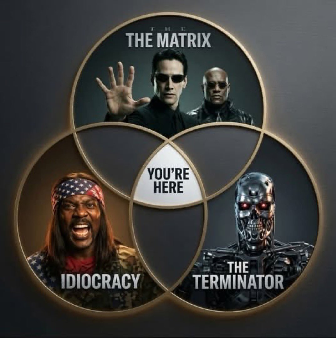 Venn diagram intersecting Idiocracy, The Matrix and The Terminator, the intersection is labeled "You are Here"