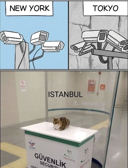 Posted media