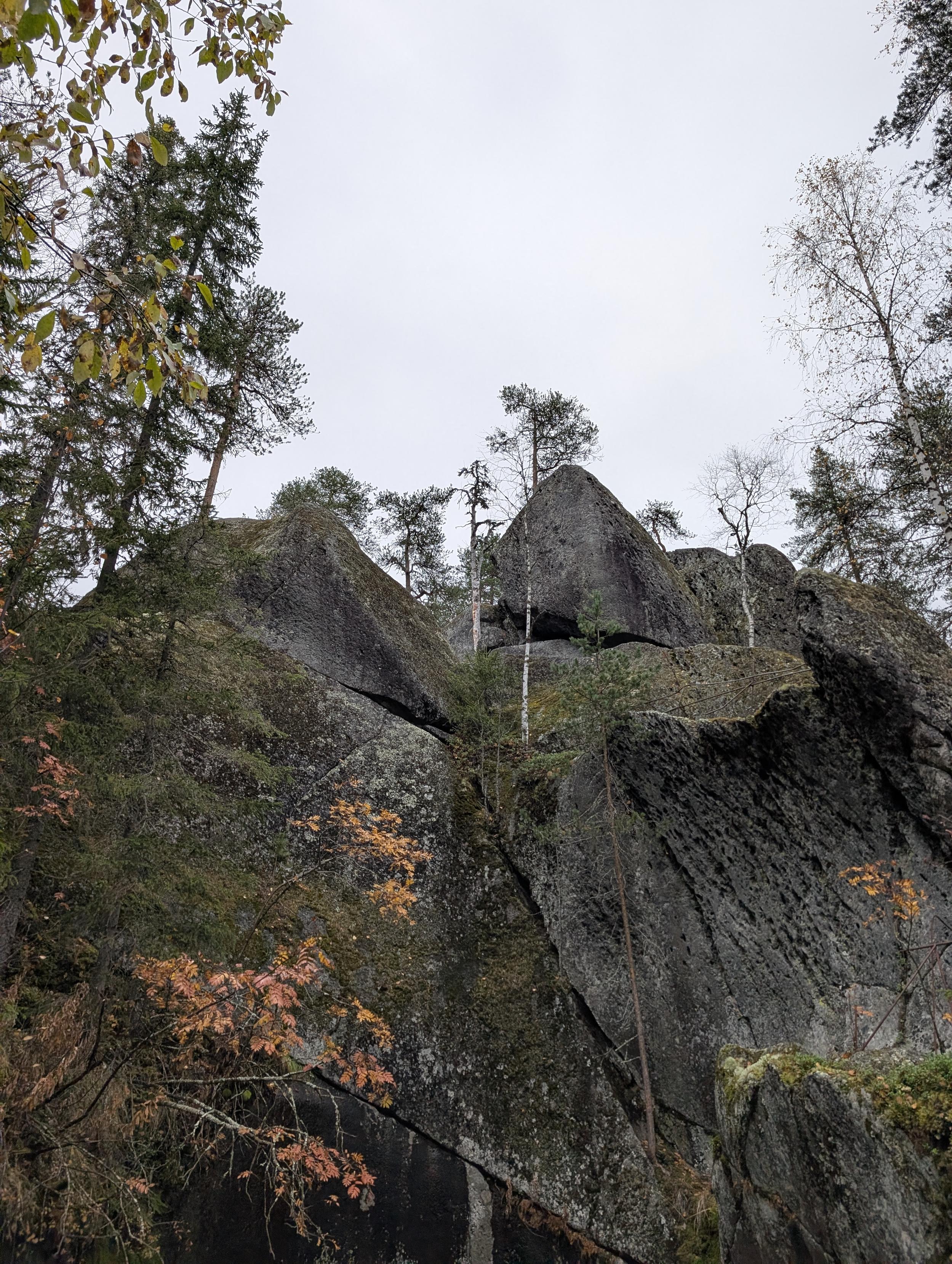 Low-angle view of large, dark gray granite rock formations reaching toward an overcast sky. Patches of green moss cling to the textured stone surfaces, with tall pine and slender birch trees growing between and atop the boulders. Autumn foliage with orange and yellow leaves borders the left and lower sections.