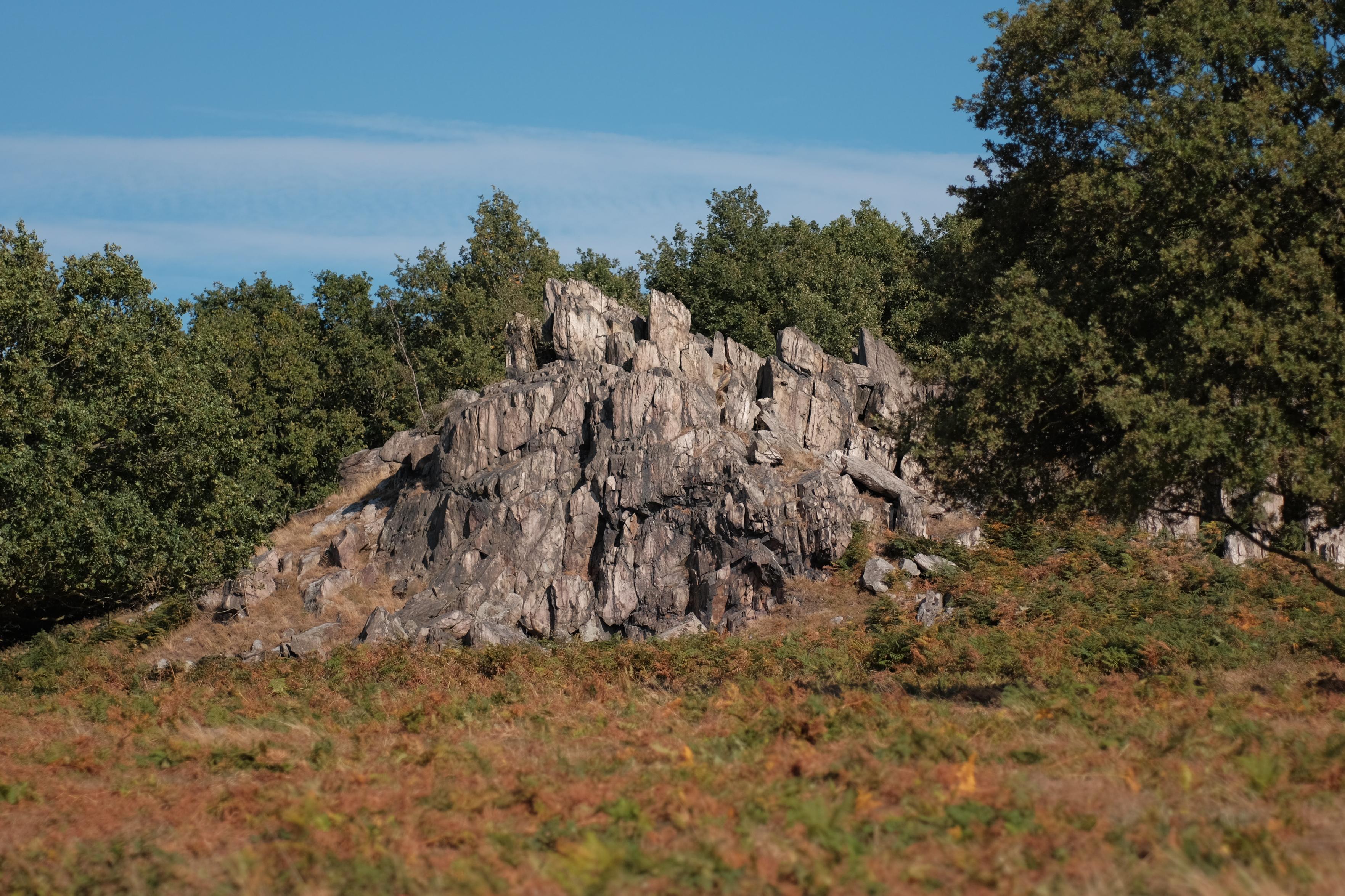 A jagged, light-gray rock outcrop sits atop a grassy hill surrounded by lush green deciduous trees. The foreground consists of low-lying, reddish-brown and green ferns, while the rock formation displays distinct vertical fractures and fissures beneath a clear blue sky with faint cirrus clouds.