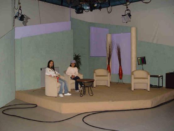 Posted media