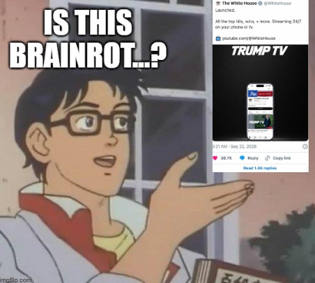 Posted media