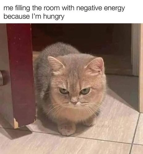 Posted media