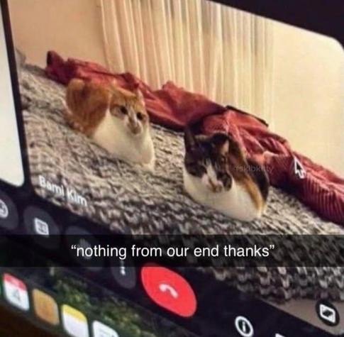 Posted media