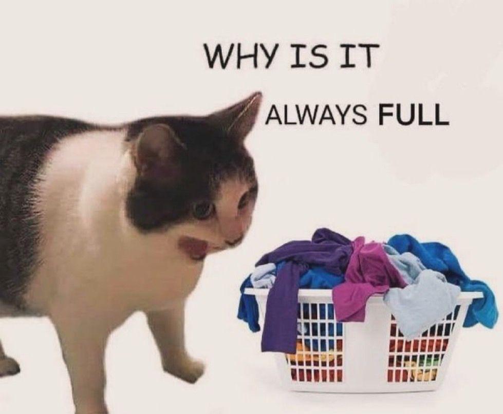 WHY