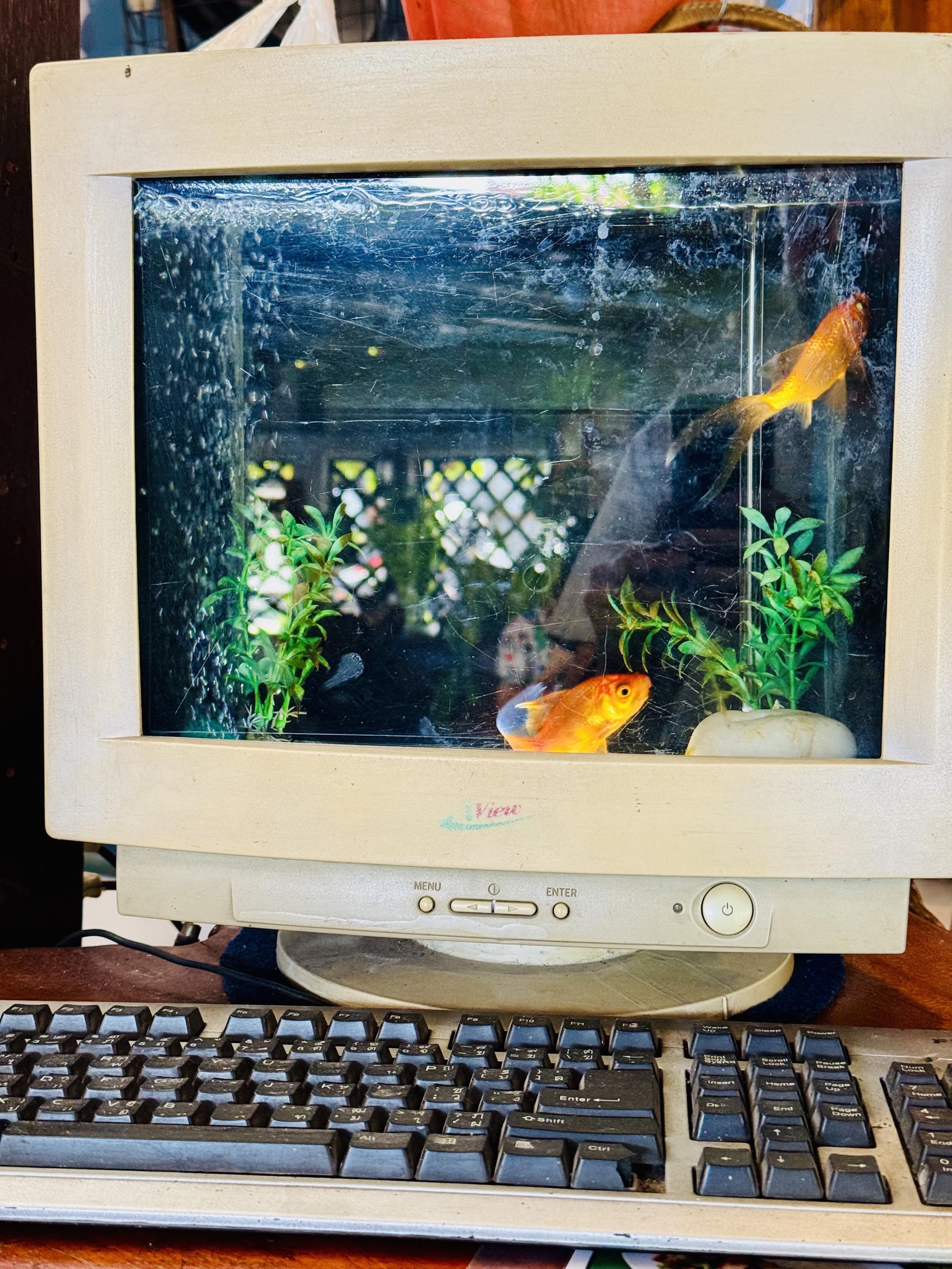 A vintage beige CRT computer monitor repurposed as an aquarium, with goldfish swimming among aquatic plants and an old keyboard in front. A quirky fusion of retro computing and aquatic life.