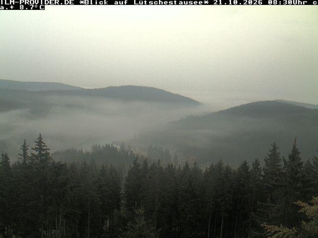 Media attachment