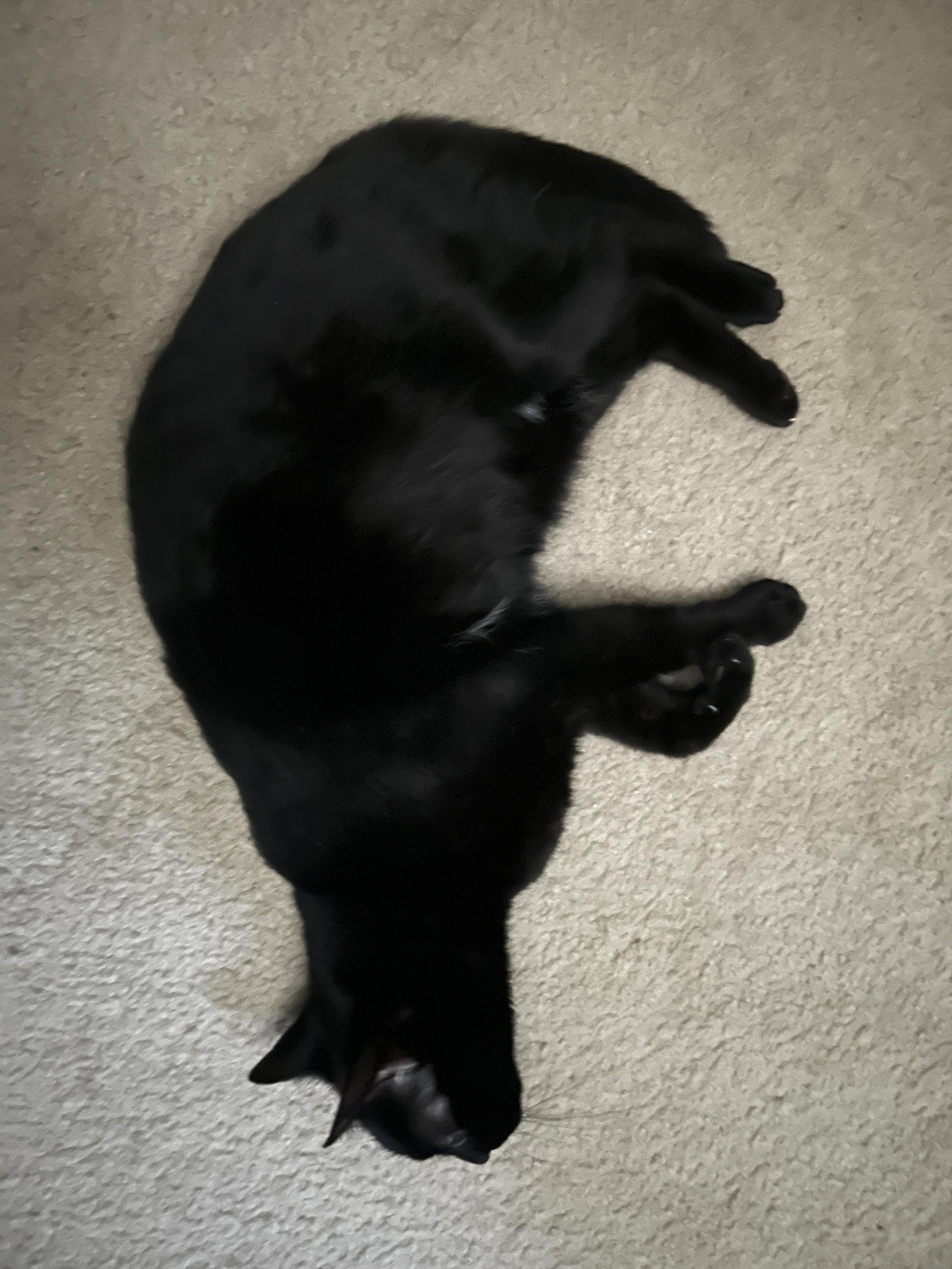 A closer picture of the blorb