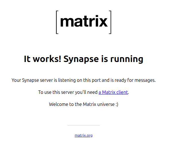 Screenshot of running Matrix server