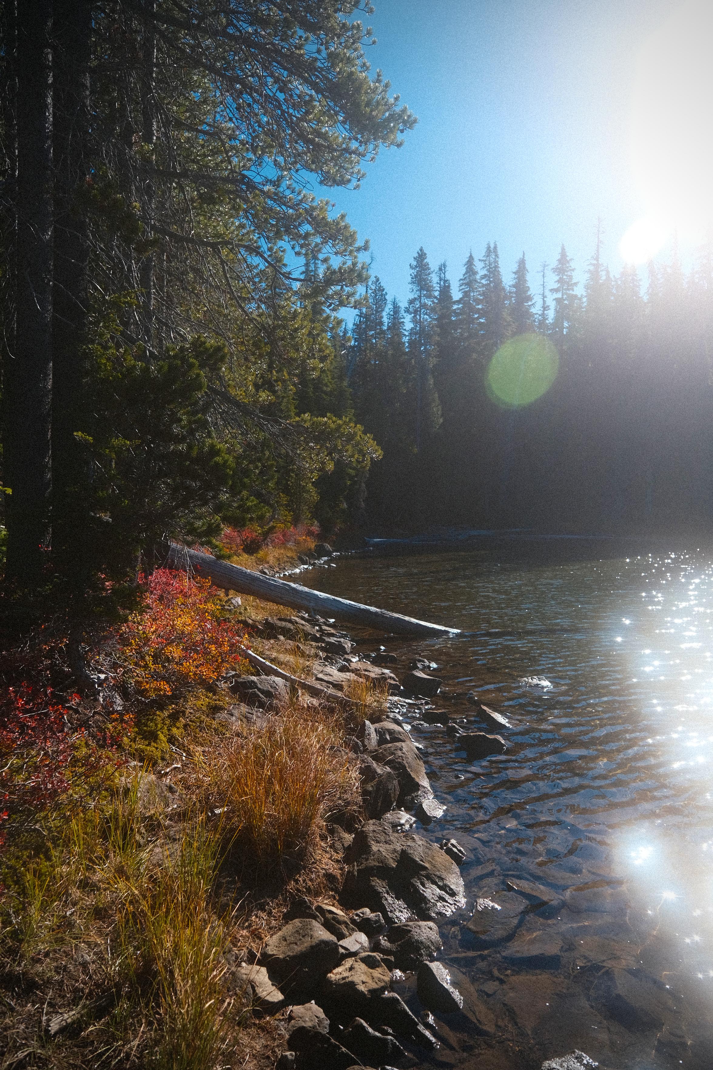 the shore of an alpine lake in oregon with the sun reflecting strongly off the water
