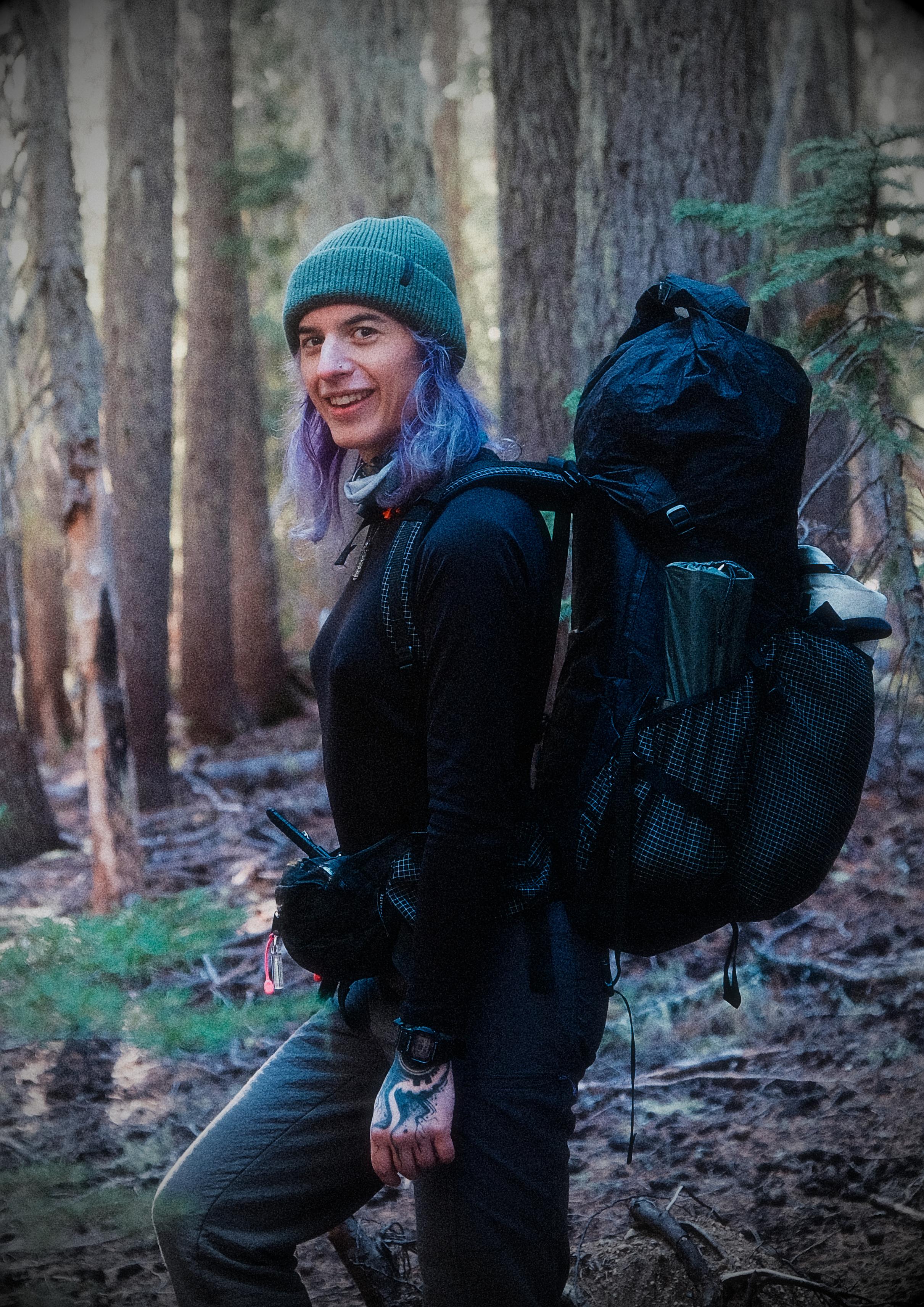 raven standing in the woods for a photo, backpacking