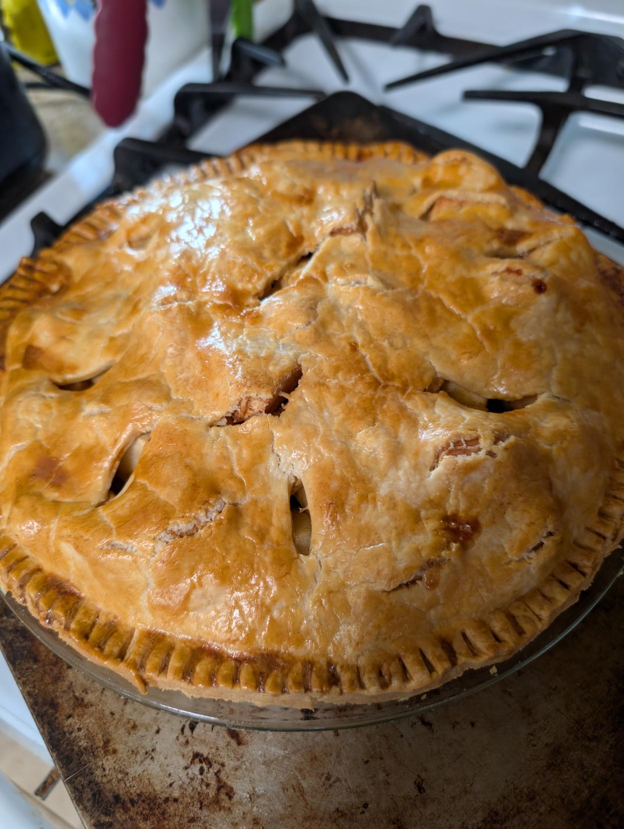 An apple pie with a nicely domed crust that looks golden brown and delicious.