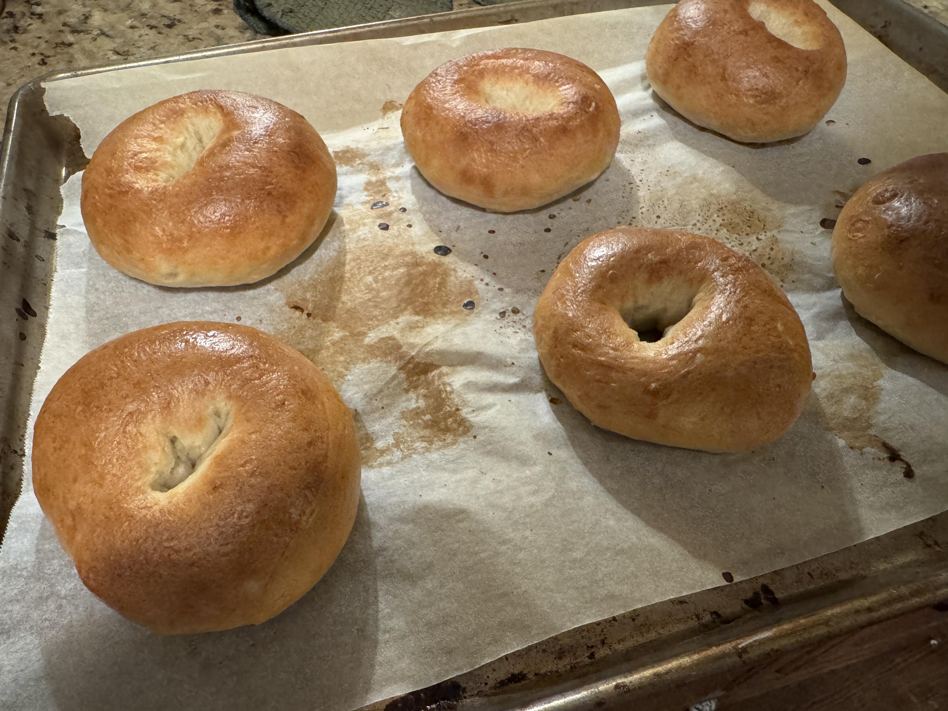Homemade bagels on a baking sheet fresh out of the oven